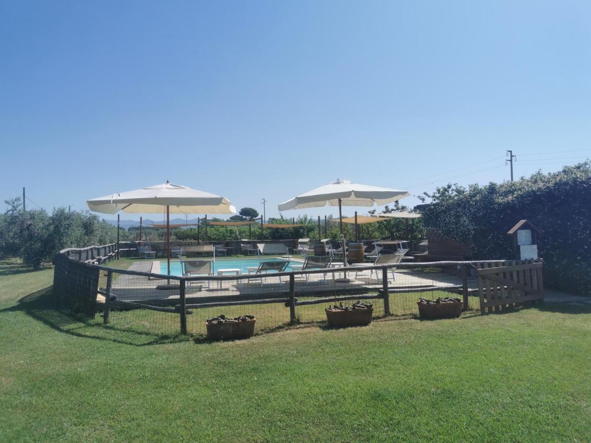 Podere Serena Castagneto Carducci Esterno foto