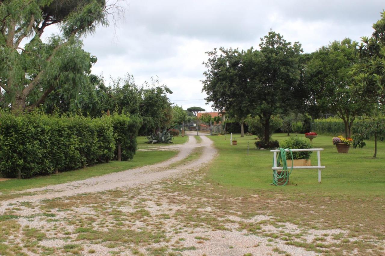 Podere Serena Castagneto Carducci Esterno foto